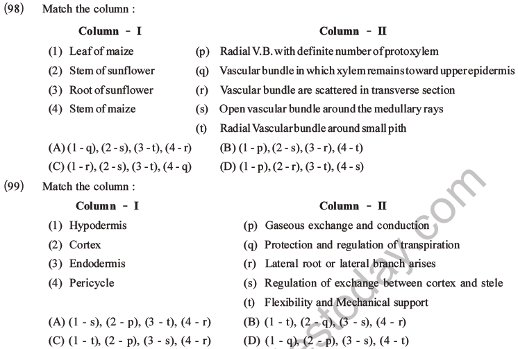 NEET Biology Plant Anatomy Plant Tissues MCQs Set A, Multiple Choice ...